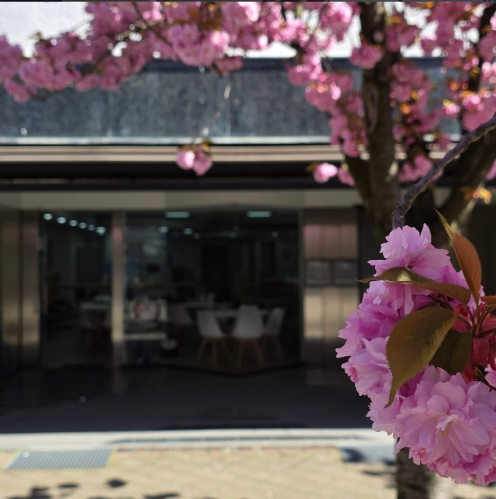 Bilder werden folgen...